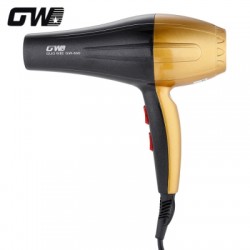 Guowei GW - 690 Hair Dryer