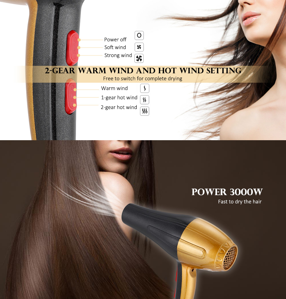 Guowei GW - 690 Professional Salon 3000W Electric Hair Blow Dryer